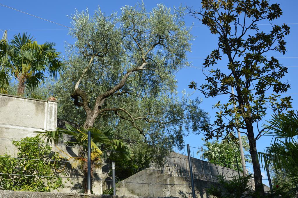 Arco Climbing Villa Eksteriør bilde